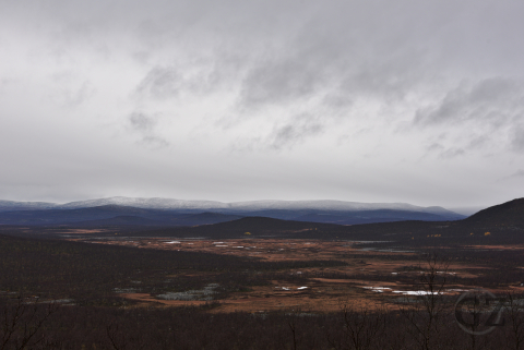 erämaa alue iso suo, tunturit ja metsä