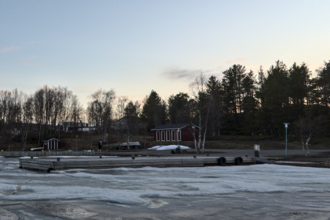 koivuja Hettaan satamassa