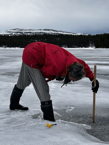 a person measuring ice thickness with a stick