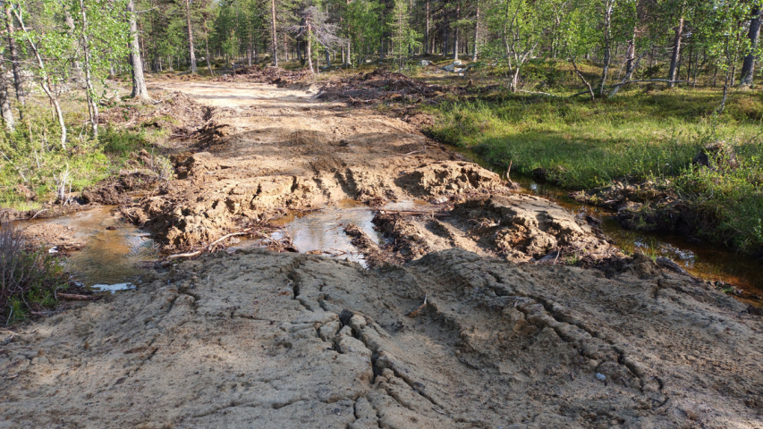 monta metriä leveä rujo metsätie kairassa