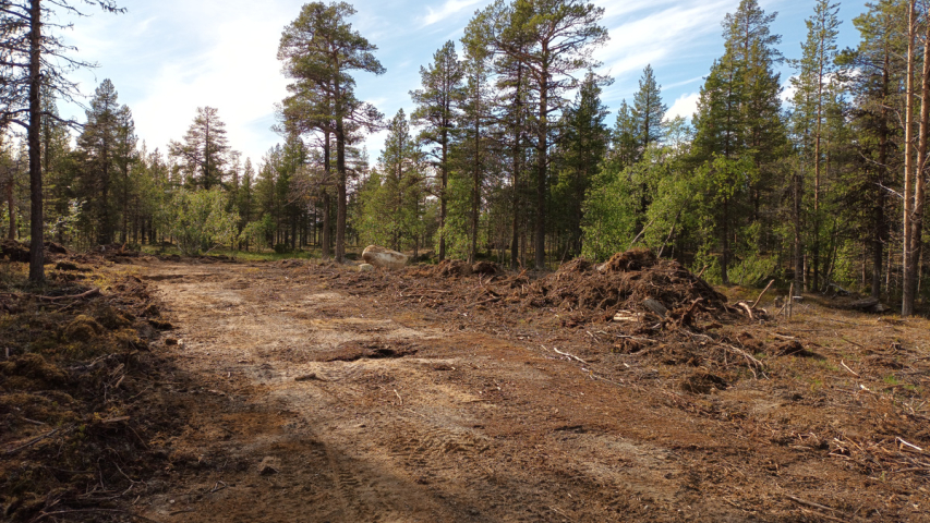 monta metriä leveä rujo metsätie kairassa