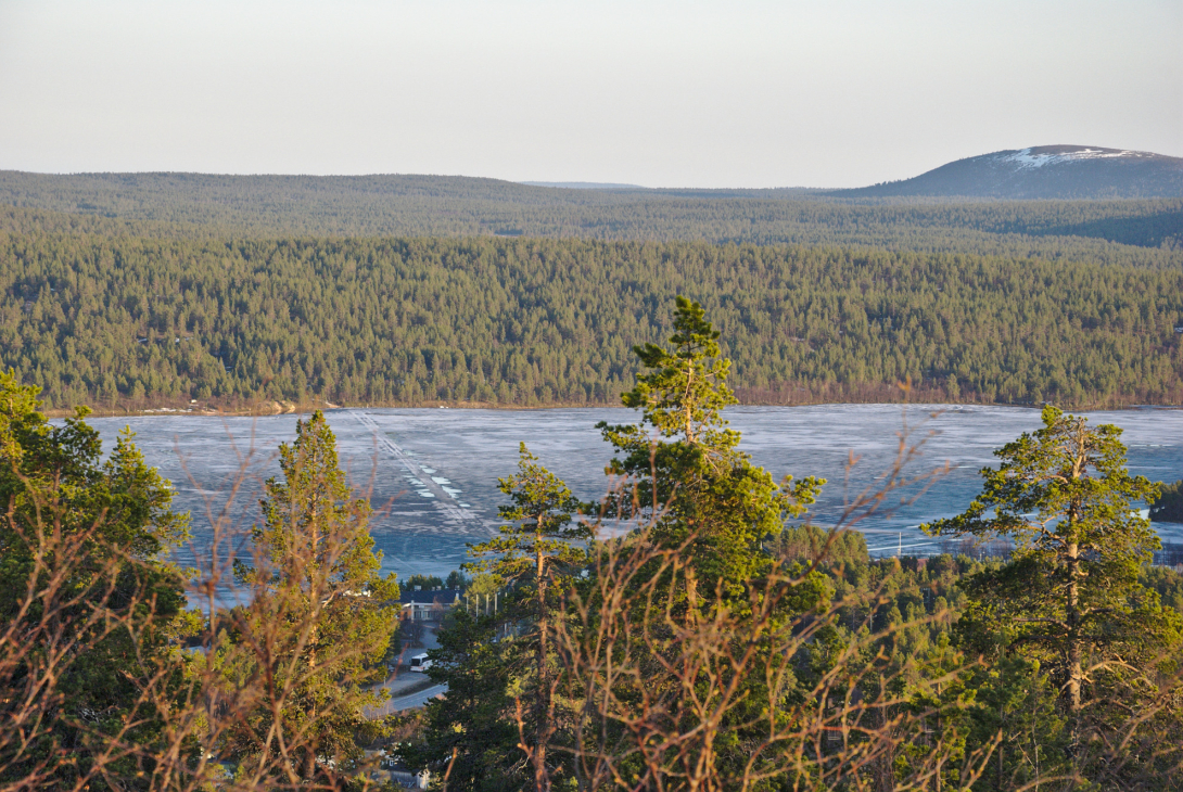 frozen lake, snow free forest